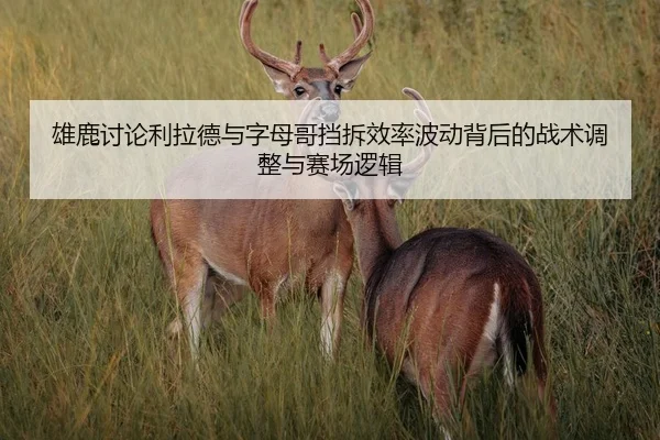 雄鹿讨论利拉德与字母哥挡拆效率波动背后的战术调整与赛场逻辑